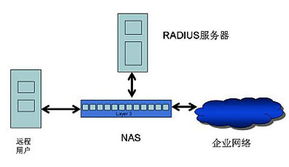 RADIUS工作原理及服務器測試在網絡接入業(yè)務與服務中的應用